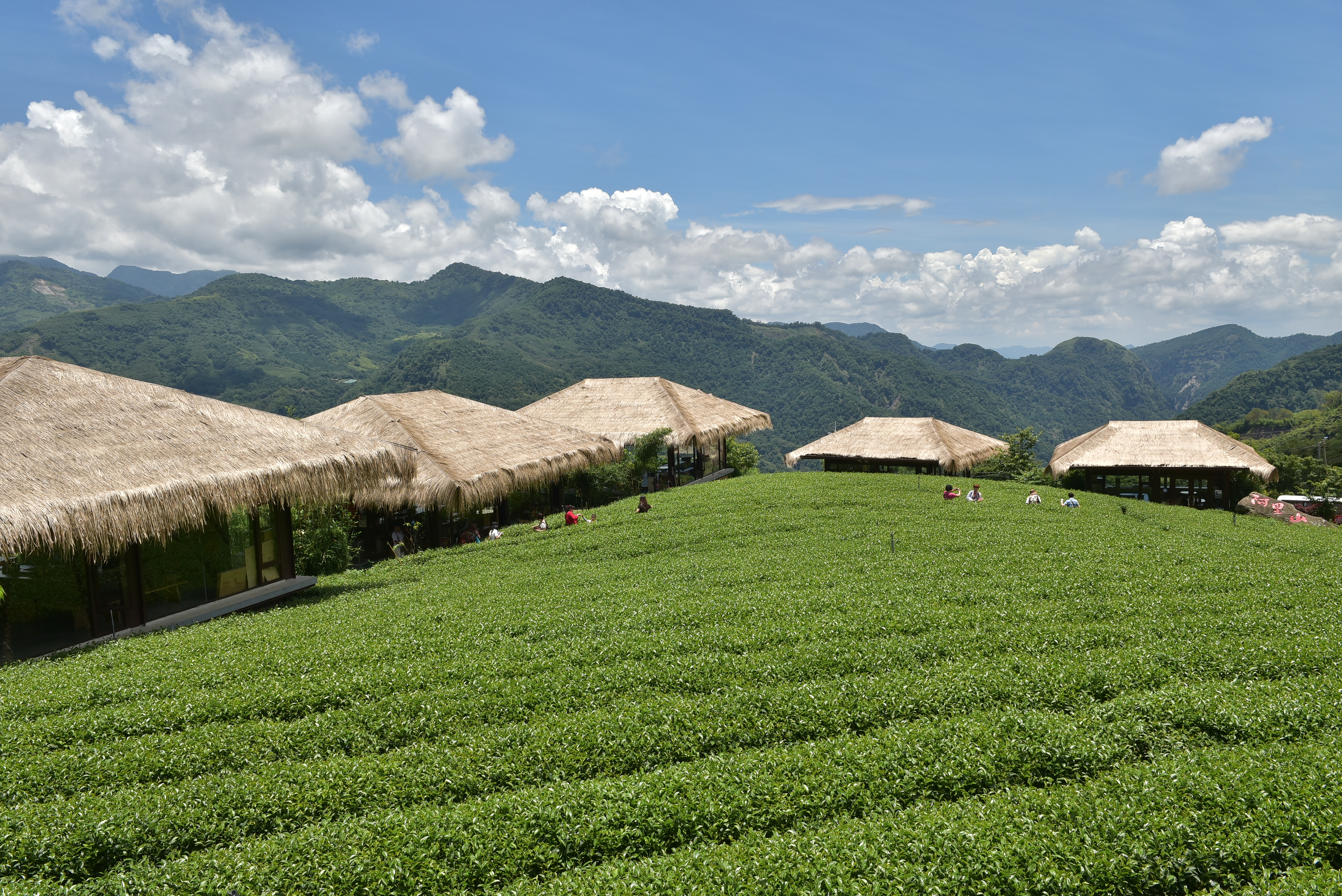 阿里山鄒族文化部落